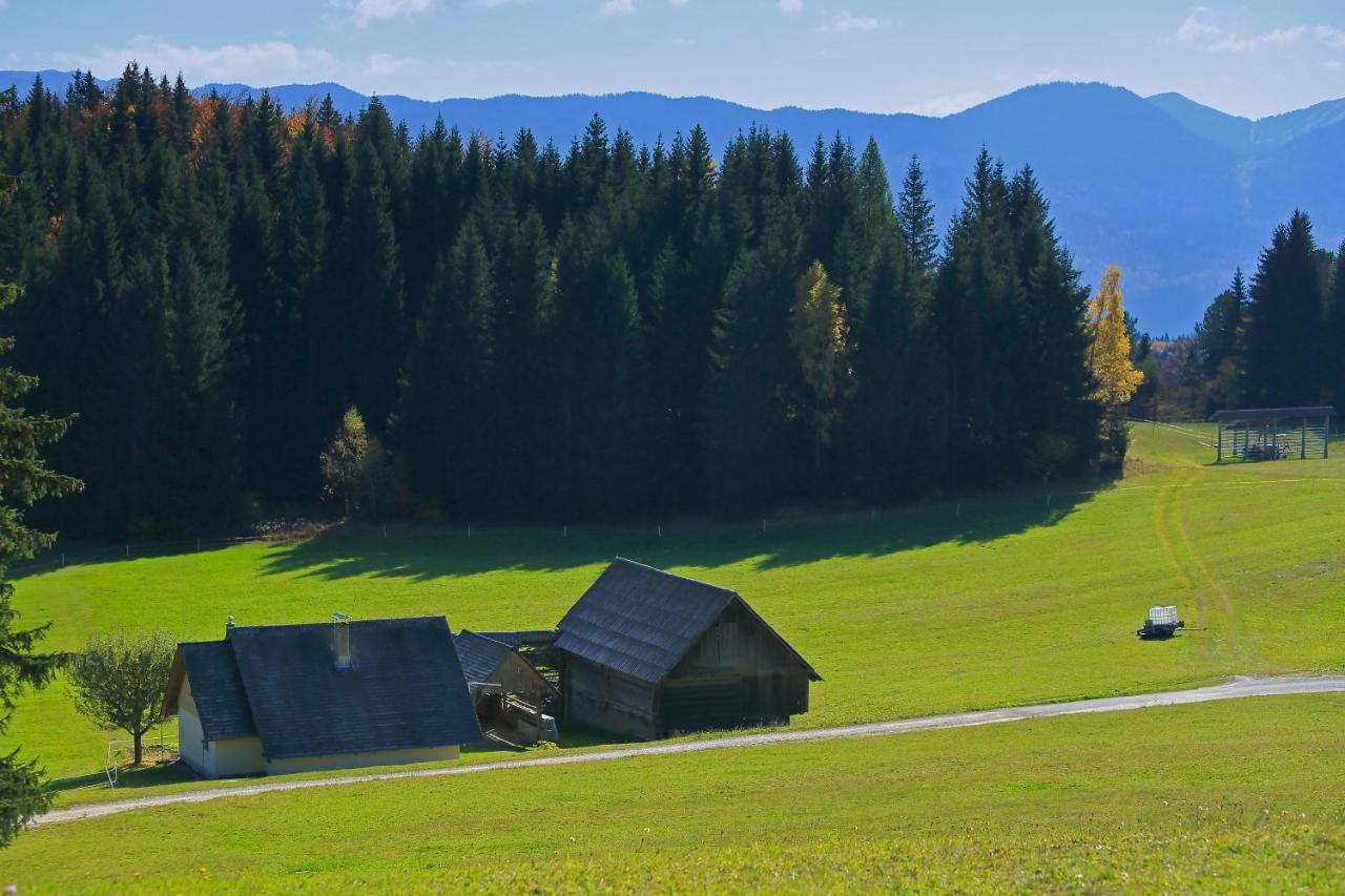 Cottage Zoja Бохиньска-Быстрица Экстерьер фото
